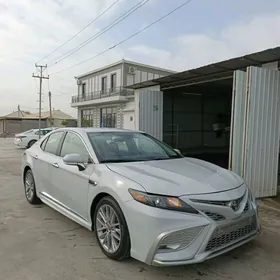 Toyota Camry 2022
