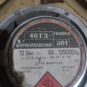 Калонка, Усилитель