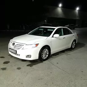 OKUZ ON BAMBER ORG TOYOTA