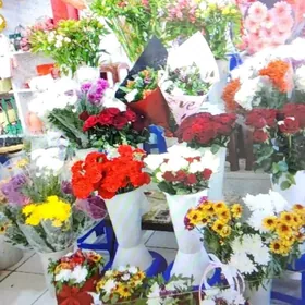 Mary-Şäher-Satlyk-Yer