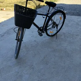 Welik27lik spartivny