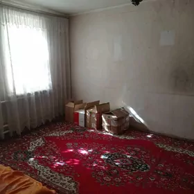 Mary-Şäher-Satlyk-Howly-3-mk