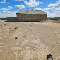 Çoganly satlyk yer 7.5 sot