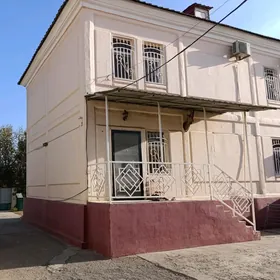 Coganly Arkac Kotej jay