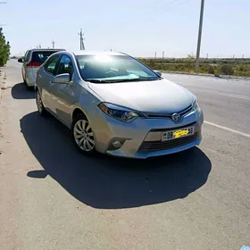 Toyota Corolla 2014