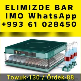  Inkubator Towuk Horaz Jüýje