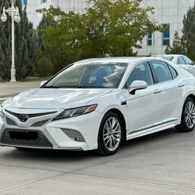 Toyota Camry 2019