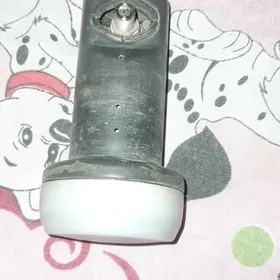 galowka kiçi anteniñki 1.wyhd