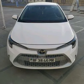 Toyota Corolla 2021