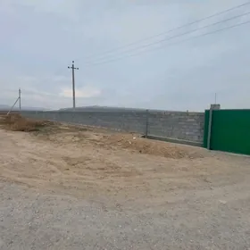 Önümçilige 9 gektar 99 yyllyk