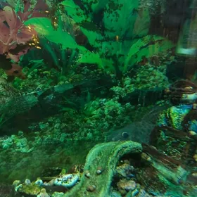 Аквариум 50 л