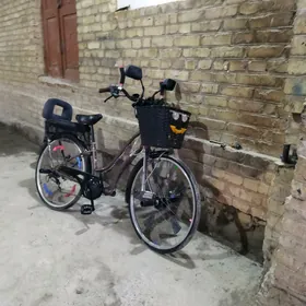 satlyk welsopet 26lyk