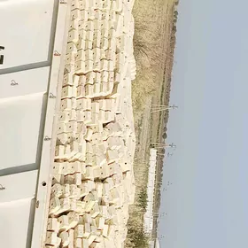 jay salmaga yatak salmaga