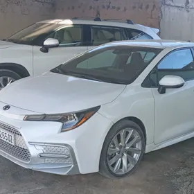 Toyota Corolla 2021