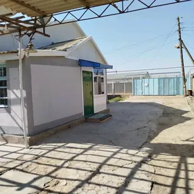 Satlyk Howly Jay Muhadyn