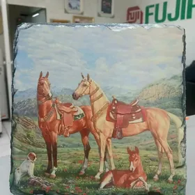 mramor daşyñ üstüne foto 20x20