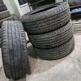 NEXEN 245 55 19 TEKER