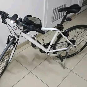 Tigir Original Spartiwnyy