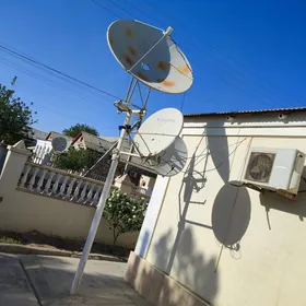 антен тарелка