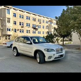 BMW X5 2010
