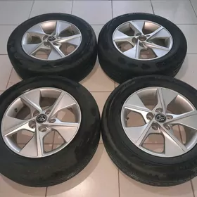 Palta kemry 16 disga.