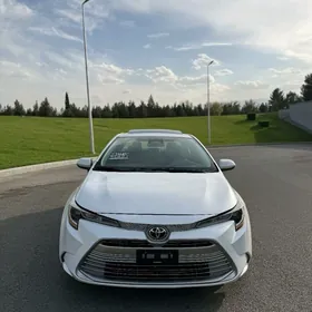 Toyota Corolla 2024