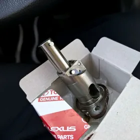 natajitel karolla 2020 23