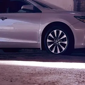 Moyka isgar gerek Zelili kocan