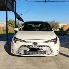 Toyota Corolla 2020