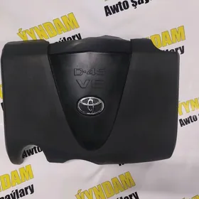 Zasit Motora Highlander,Sienna