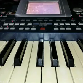 Korg Pa500