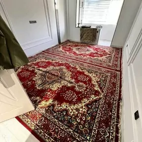 Arenda jay Sayoly Mariski