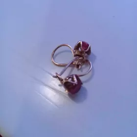 pagta gül gulakhalka