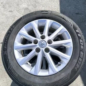 Palta Glx morda diska pakryska