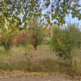 6 sotok Daça , Bag edilen