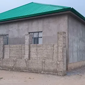 Anew Magtymguly 12 SOTKA 5 kom