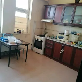 Buzmeyin taze ahal polu elitka