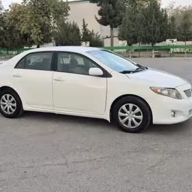 Toyota Corolla 2010