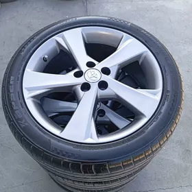 Dysga pakryşga Karolla 17