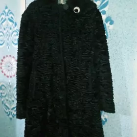 Geçiñ ýüñünden edilen şuba