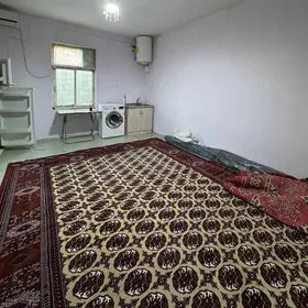 Arenda Anew jay howlyly