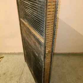 Tayota awalon mis redyatyr...