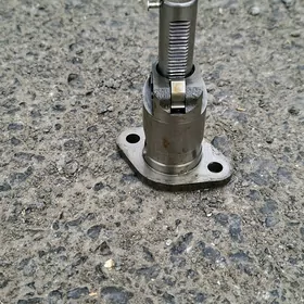 carolla duwal mator natazitel