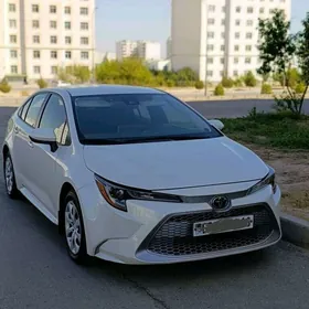 Toyota Corolla 2021