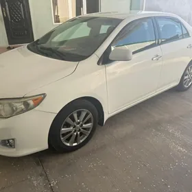 Toyota Corolla 2010