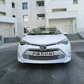 Toyota Corolla 2019