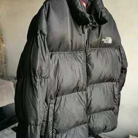 The north face