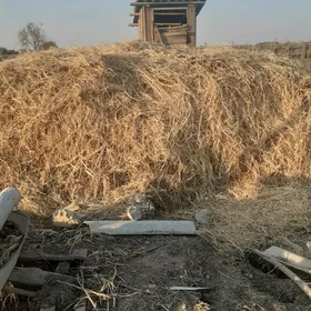 haşal yorunja garlan ot