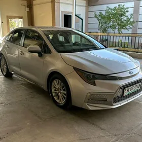 Toyota Corolla 2021