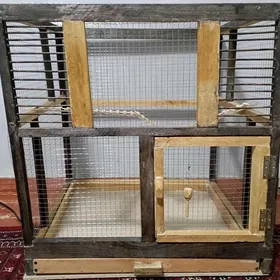 🦜 KUŞ KETEK 🦜